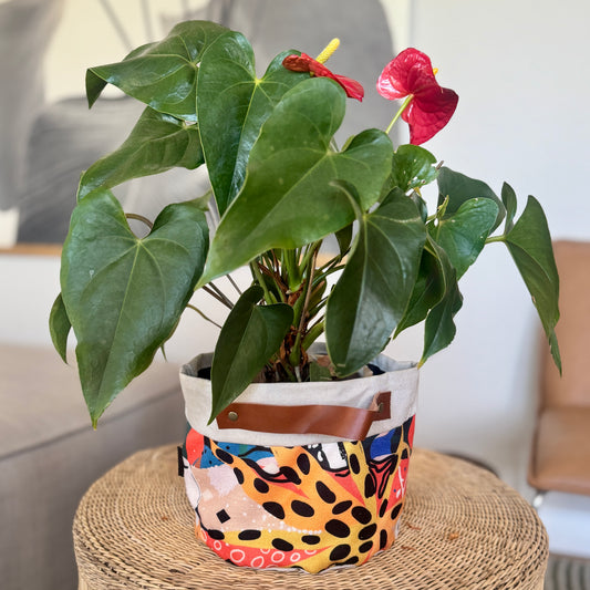 Soft Pot with Leather Handles - Charlford