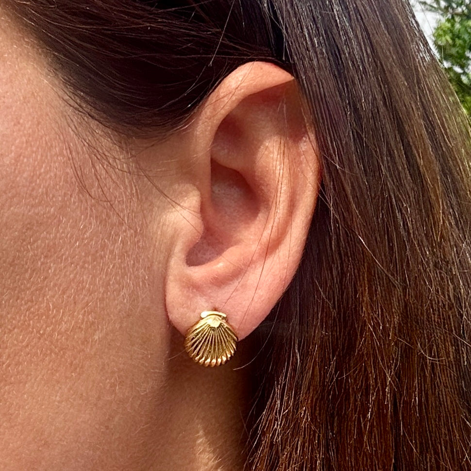 Gold Shell Stud Earrings