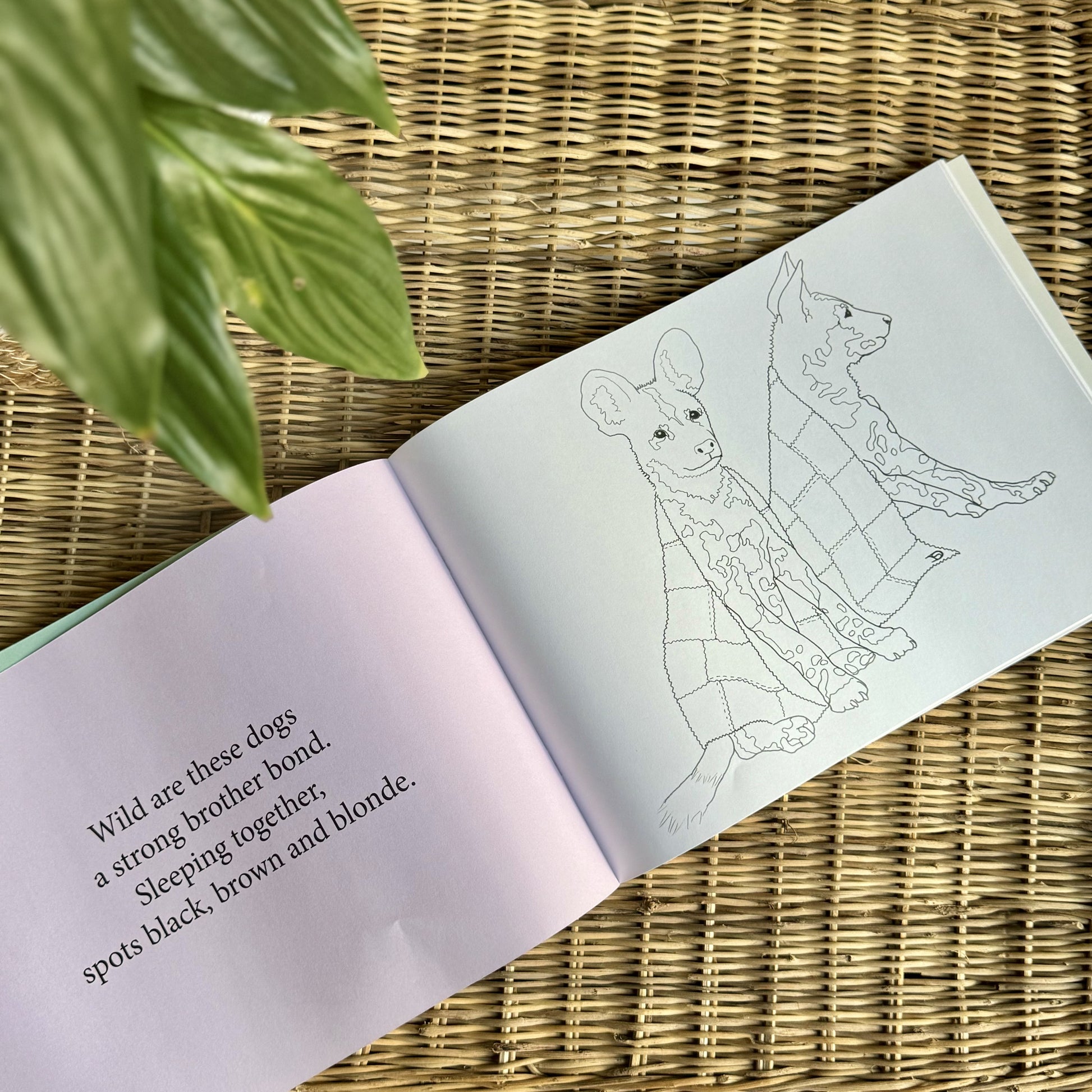 Under African Skies Colouring & Story Book