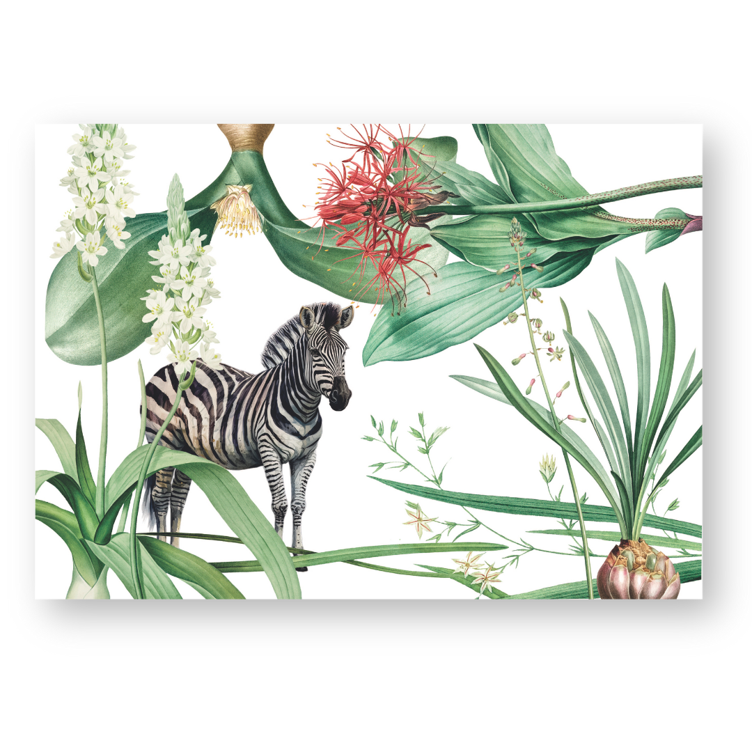 Indigenous Spirit Zebra Paper Placemats
