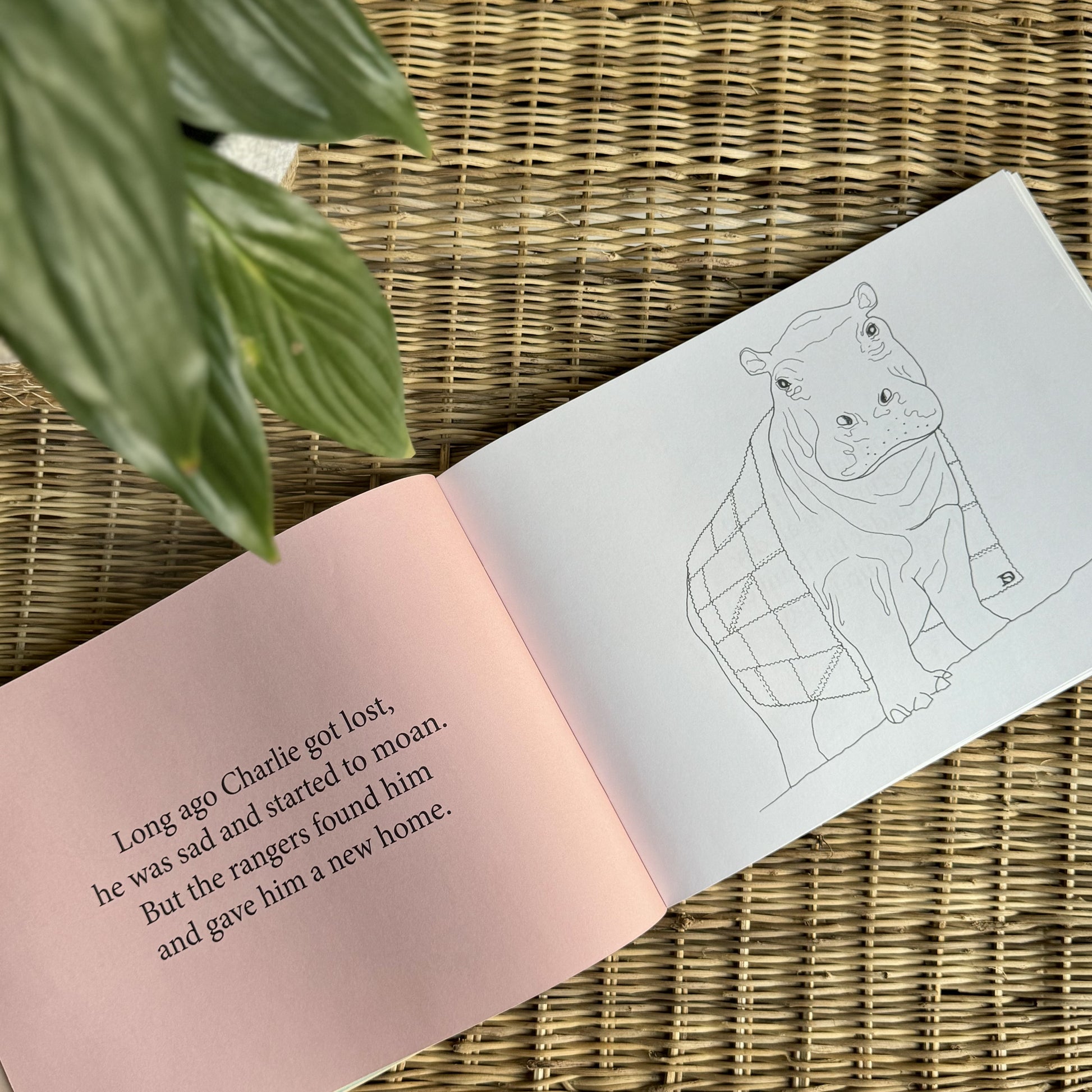 Under African Skies Colouring & Story Book