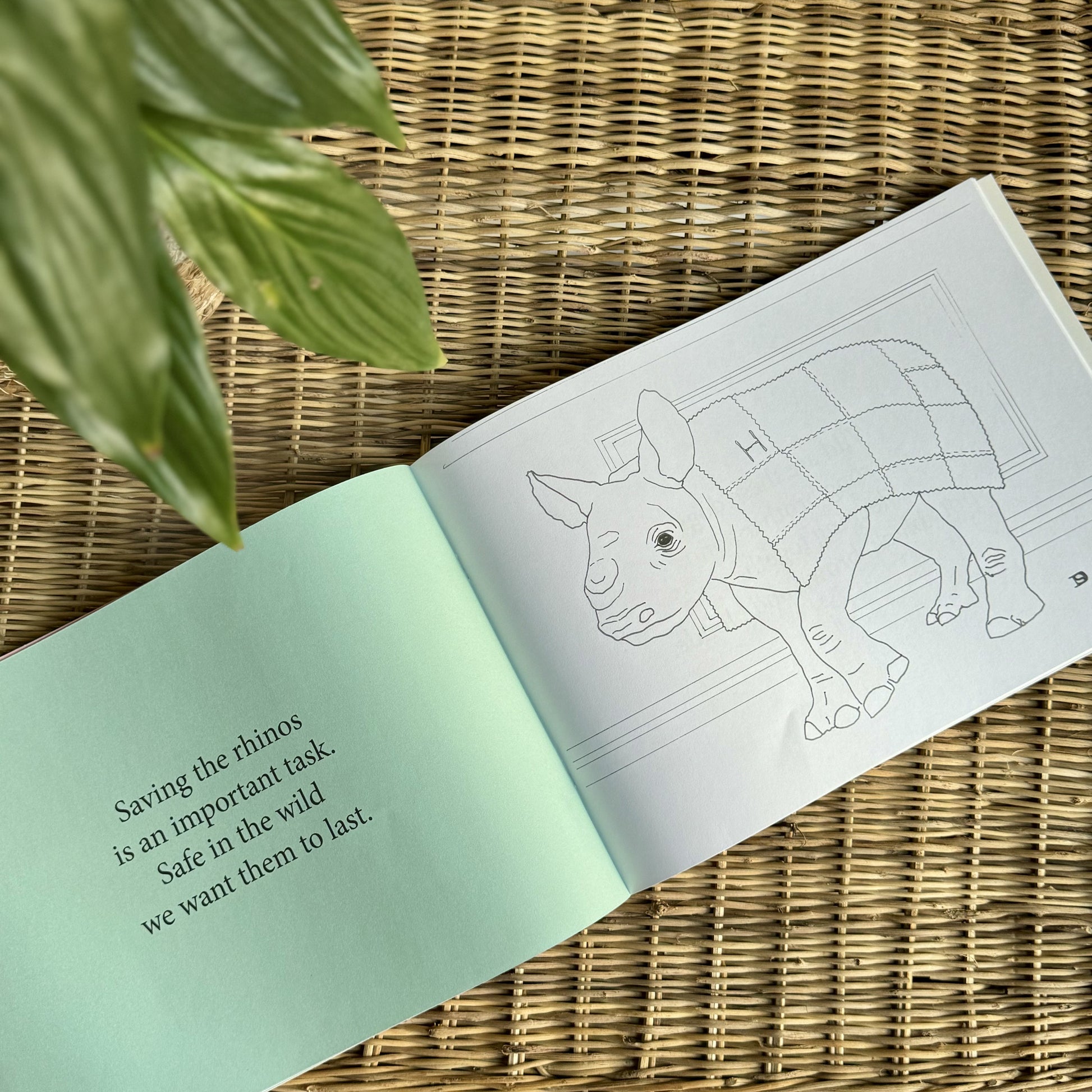 Under African Skies Colouring & Story Book