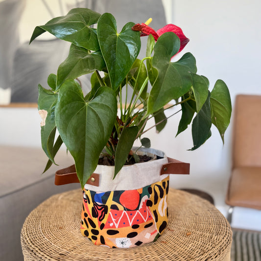 Soft Pot with Leather Handles - Charlford