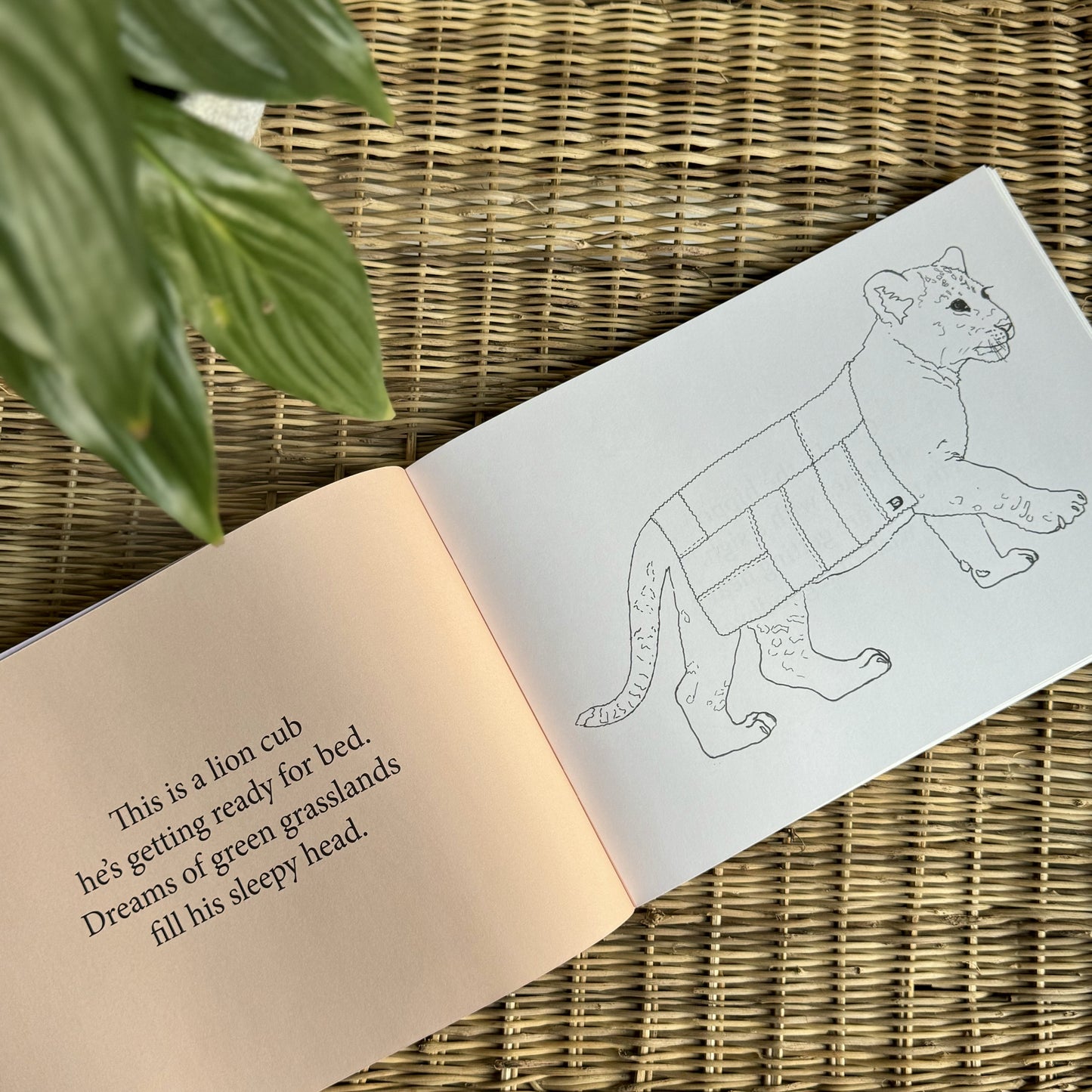 Under African Skies Colouring & Story Book