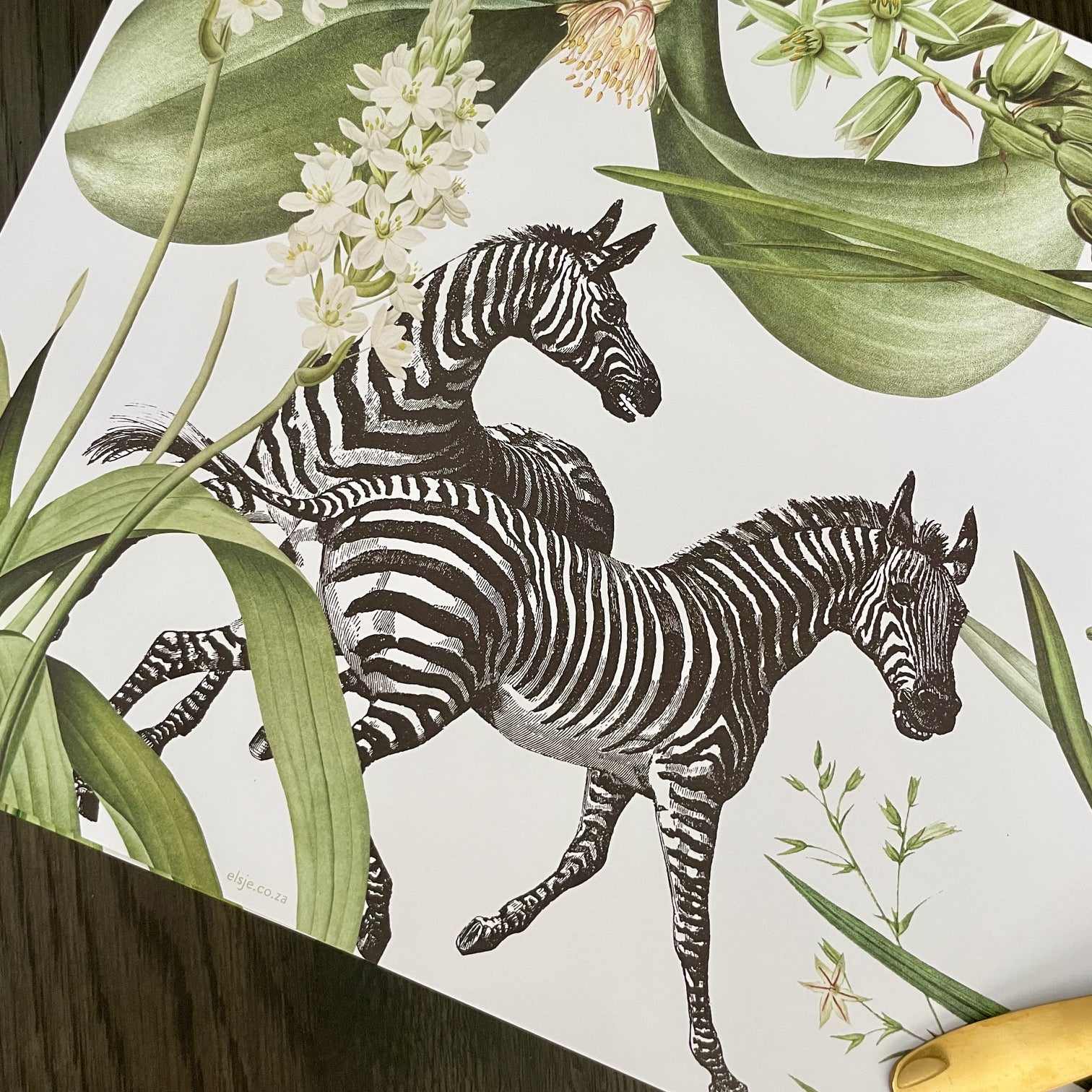 Blooms and Stripes Paper Placemats - iszi ONLINE