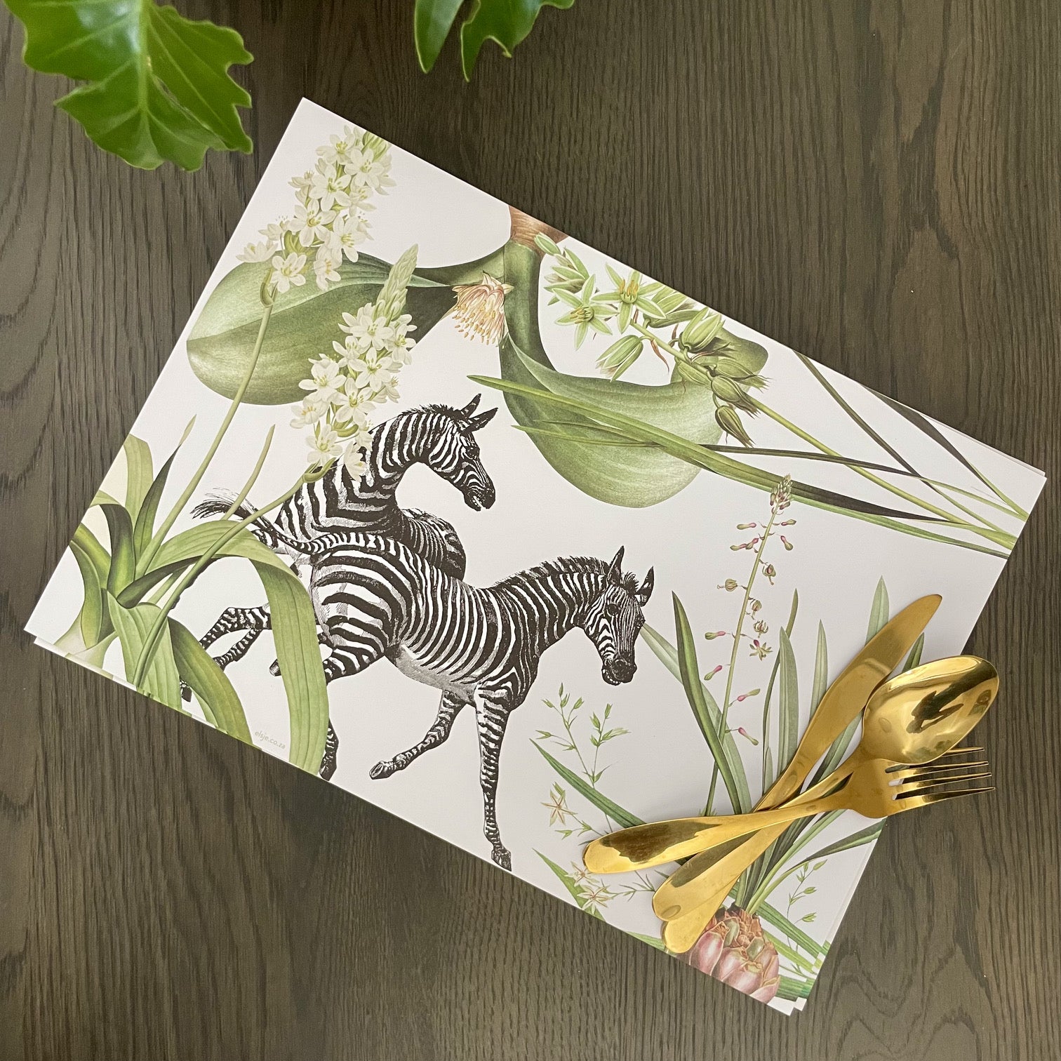 Blooms and Stripes Paper Placemats - iszi ONLINE