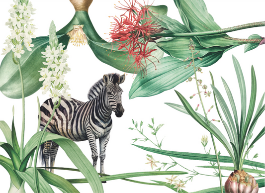 Indigenous Spirit Zebra Paper Placemats