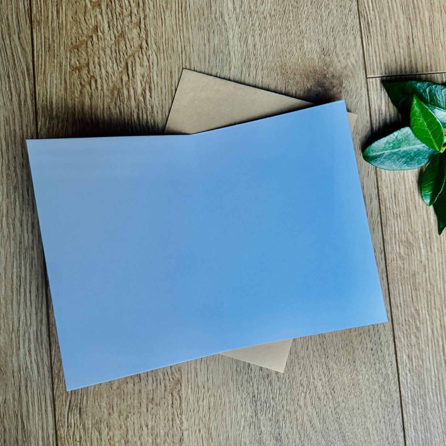 Blank in the inside of the birthday card