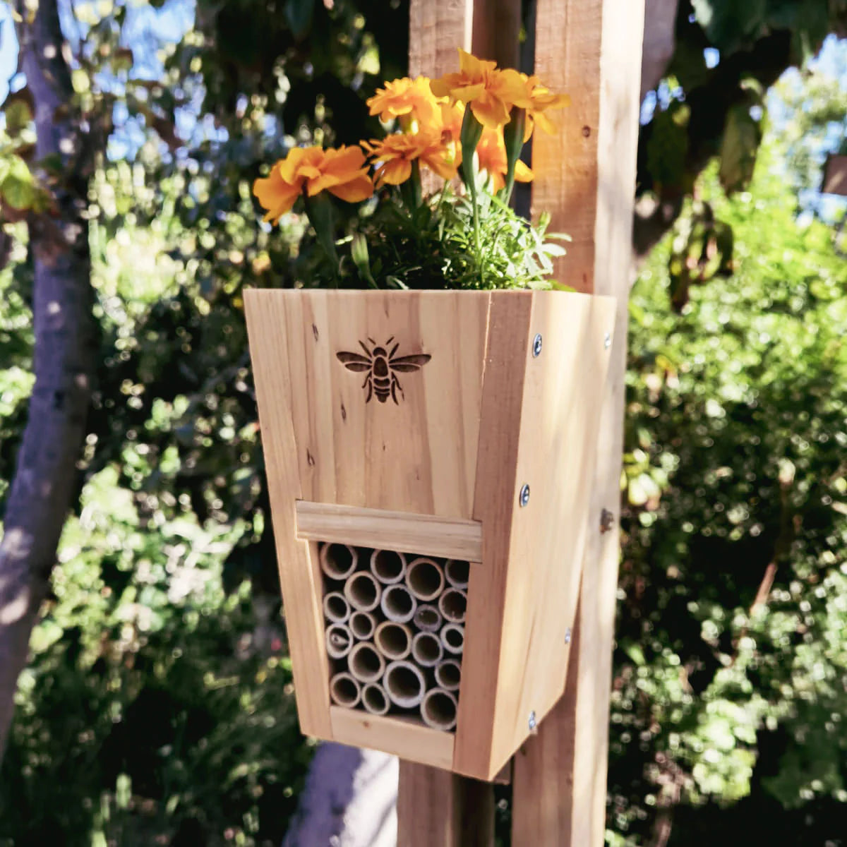 Gogga/Bug Hotel DIY Kit - iszi ONLINE