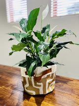 Fabraic Soft Pot for plants in Nola Desert designer fabric