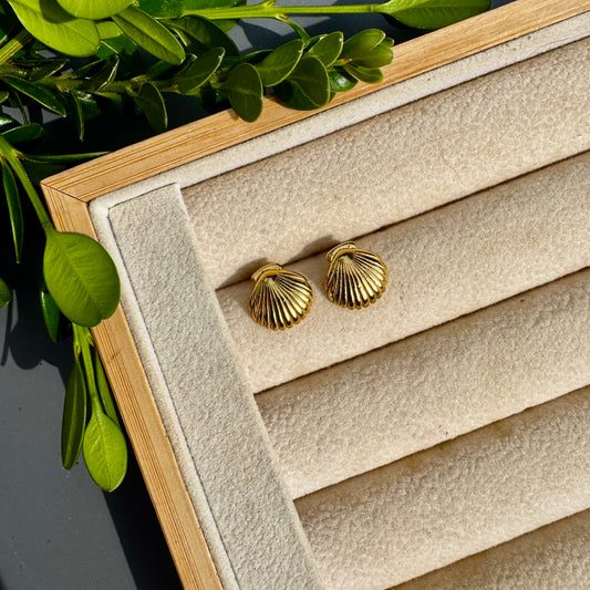 Gold Shell Stud Earrings