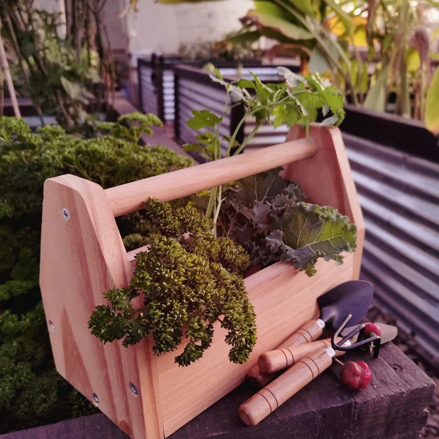 Little Gardener’s DIY Kit - iszi ONLINE