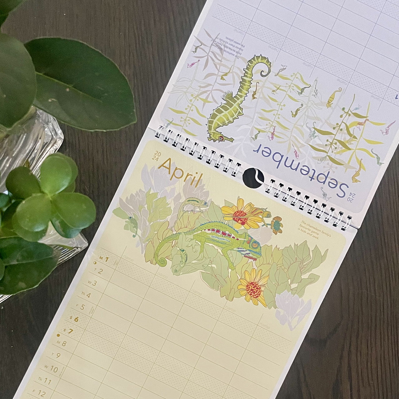 Family Calendar - iszi ONLINE