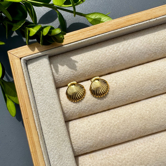 Gold Shell Stud Earrings