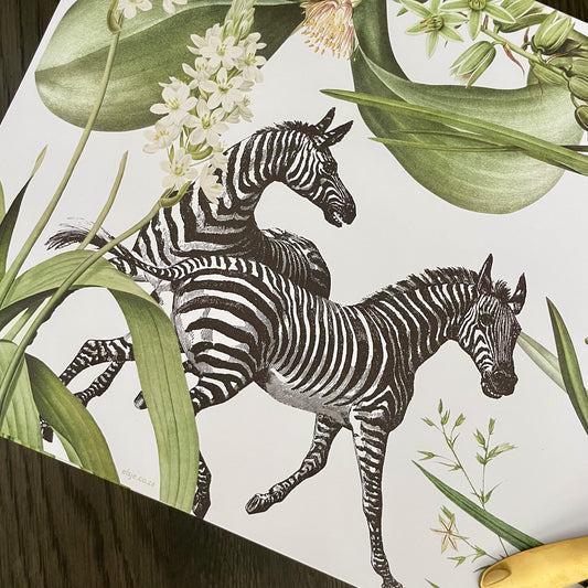 Blooms and Stripes Paper Placemats - iszi ONLINE