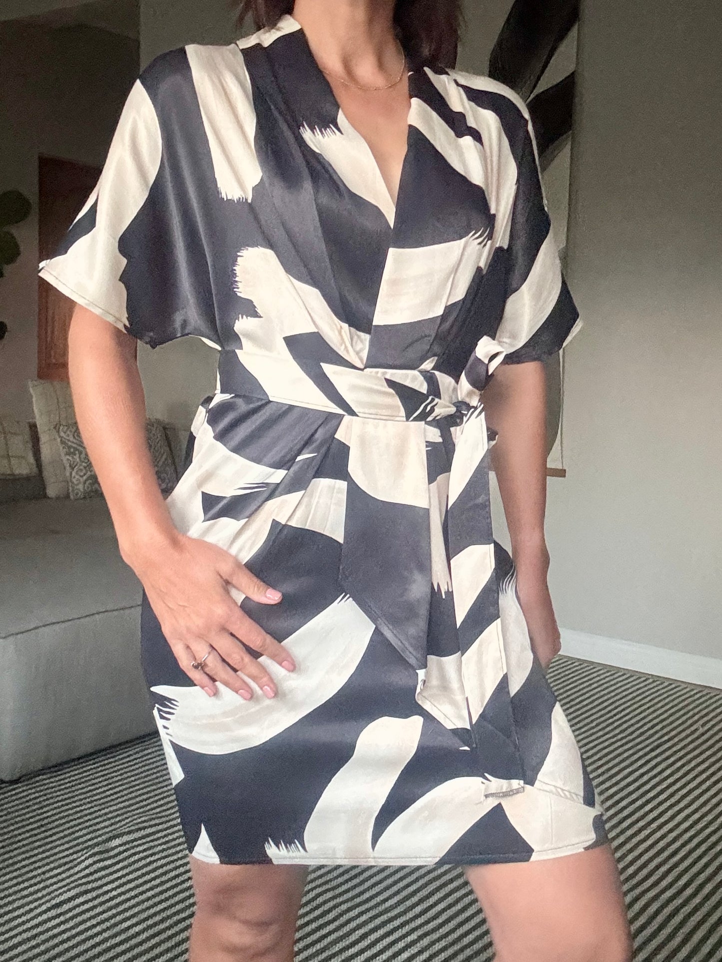 Beige and Black Pattern Dress with Belt