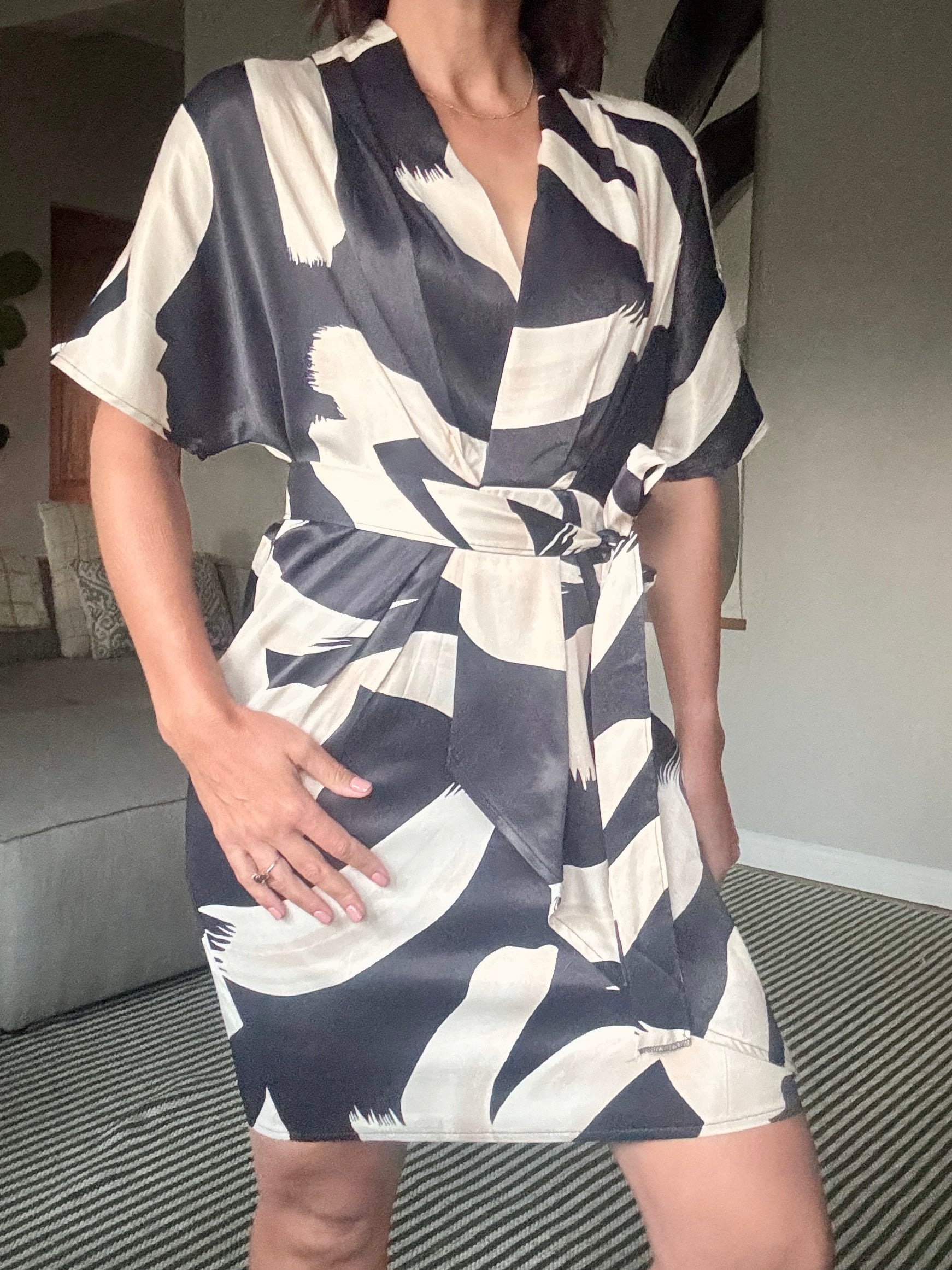 Beige and Black Pattern Dress with Belt