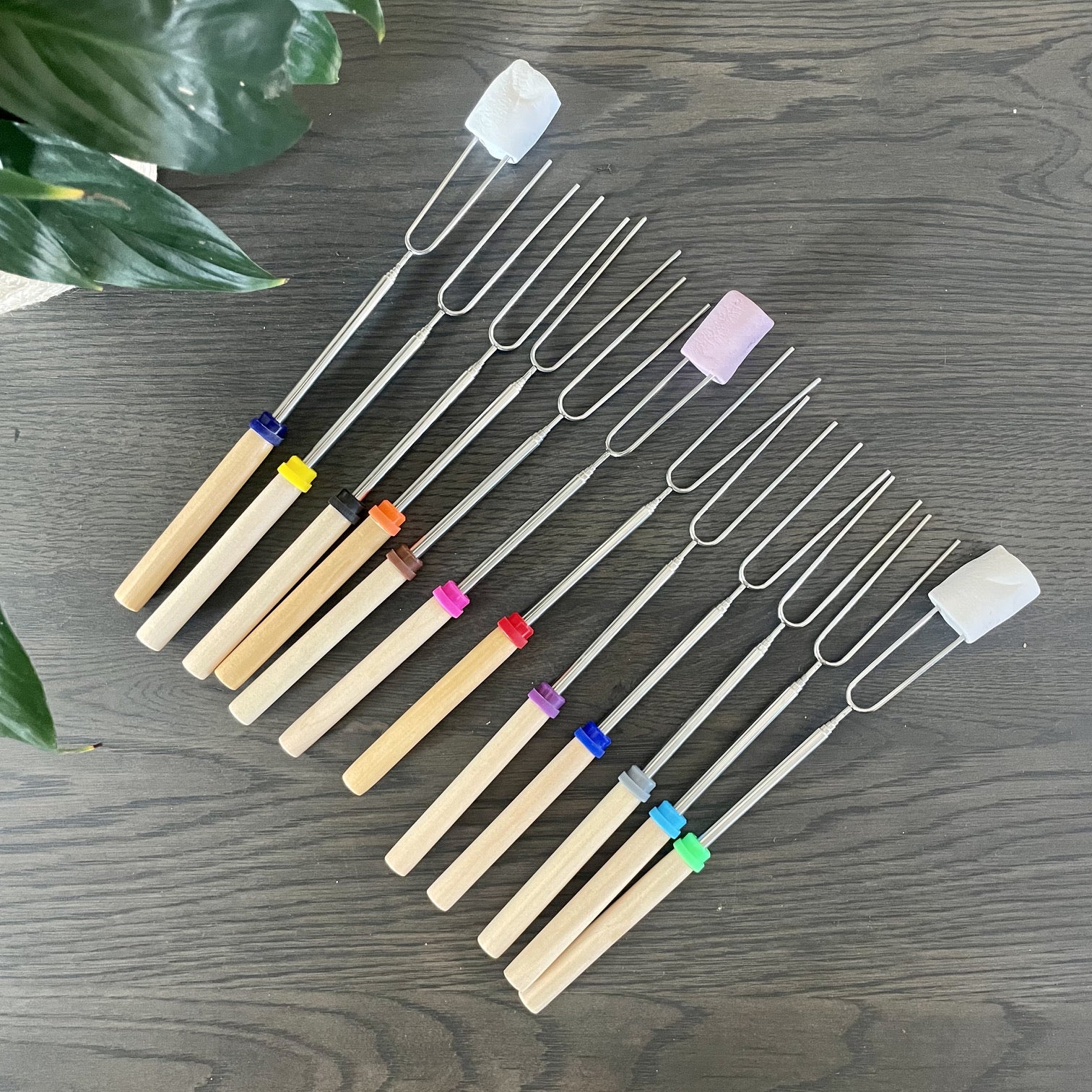 Variety of Braai/Marshmallow Forks