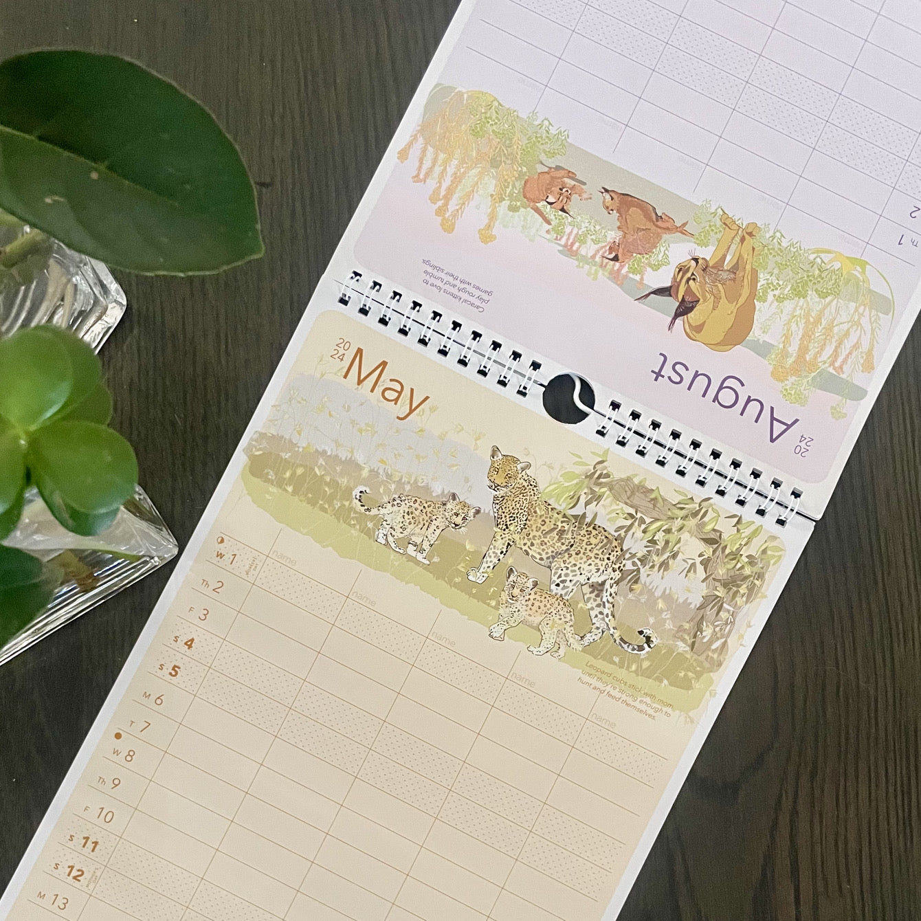 Family Calendar - iszi ONLINE
