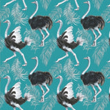 Blue Ostrich Paper Placemats