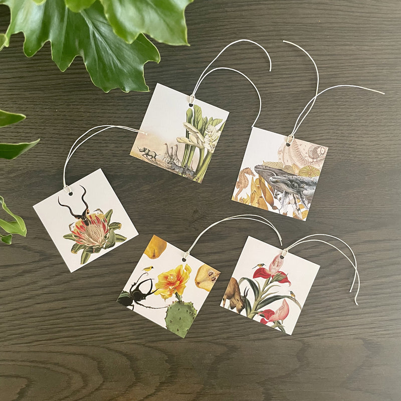 Indigenous Fauna and Flora  Gift Tags - Option 1