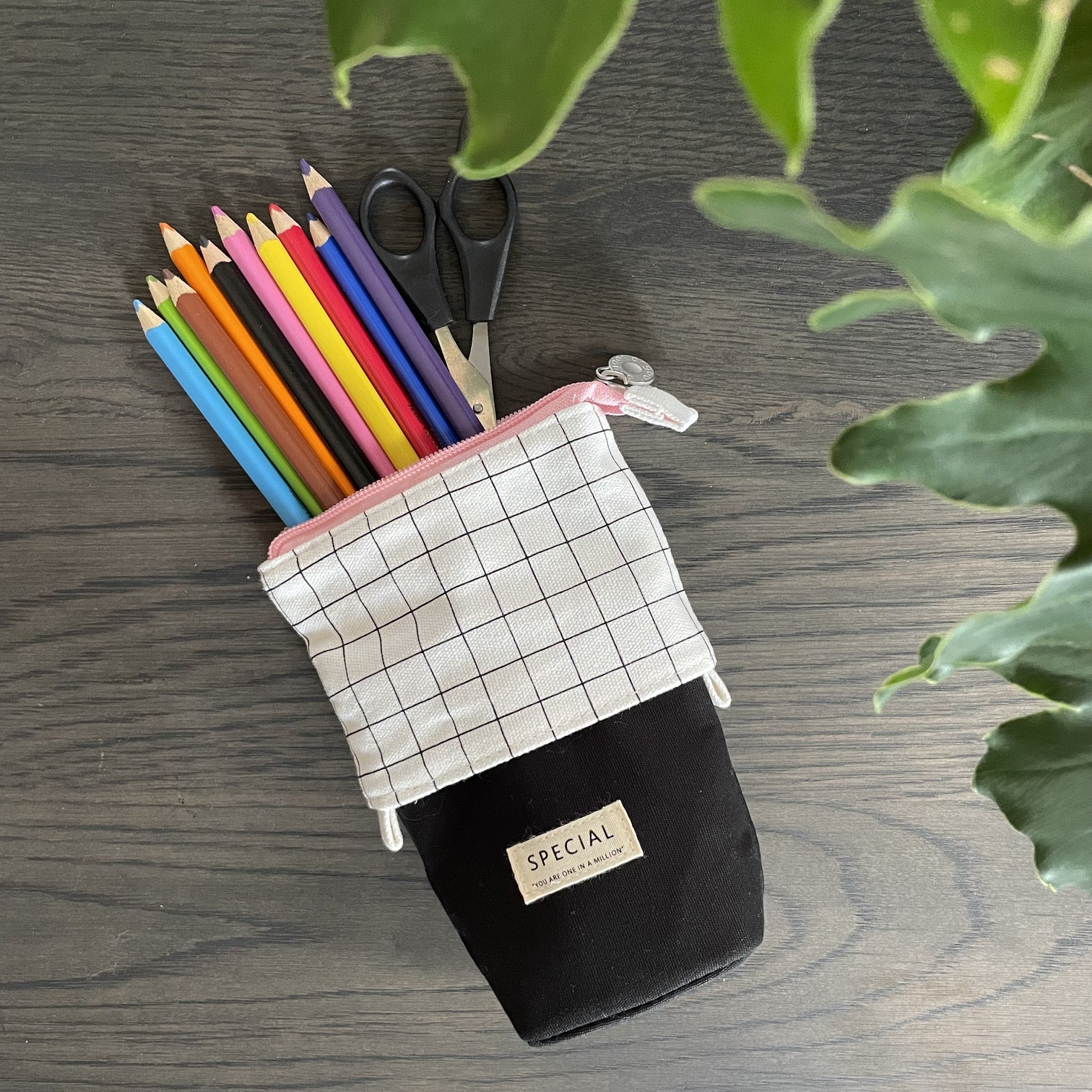 Pull-Down  Pencil Bag -  Black and White - iszi ONLINE