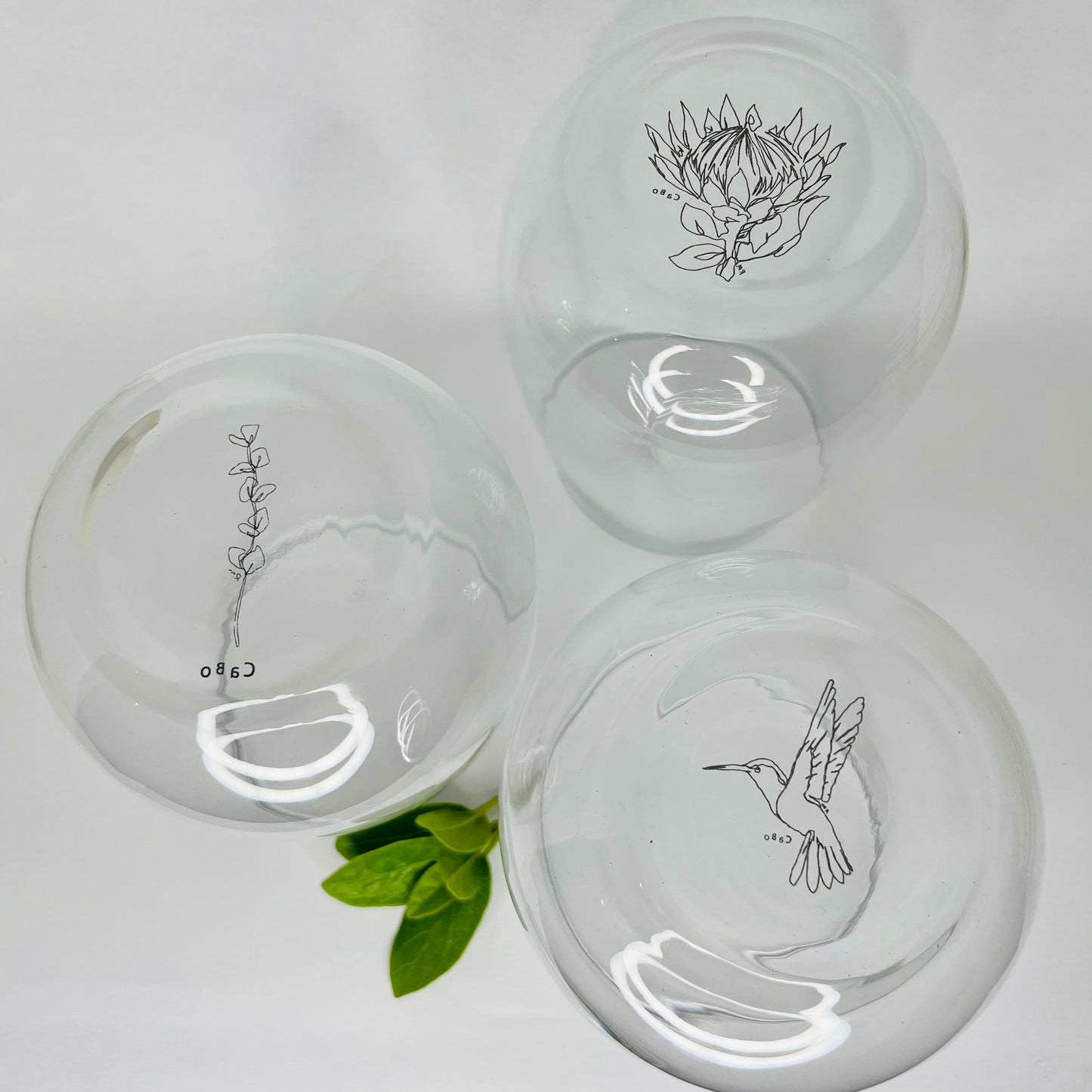 Eucalyptus, Protea, Hummingbird stemless glasses