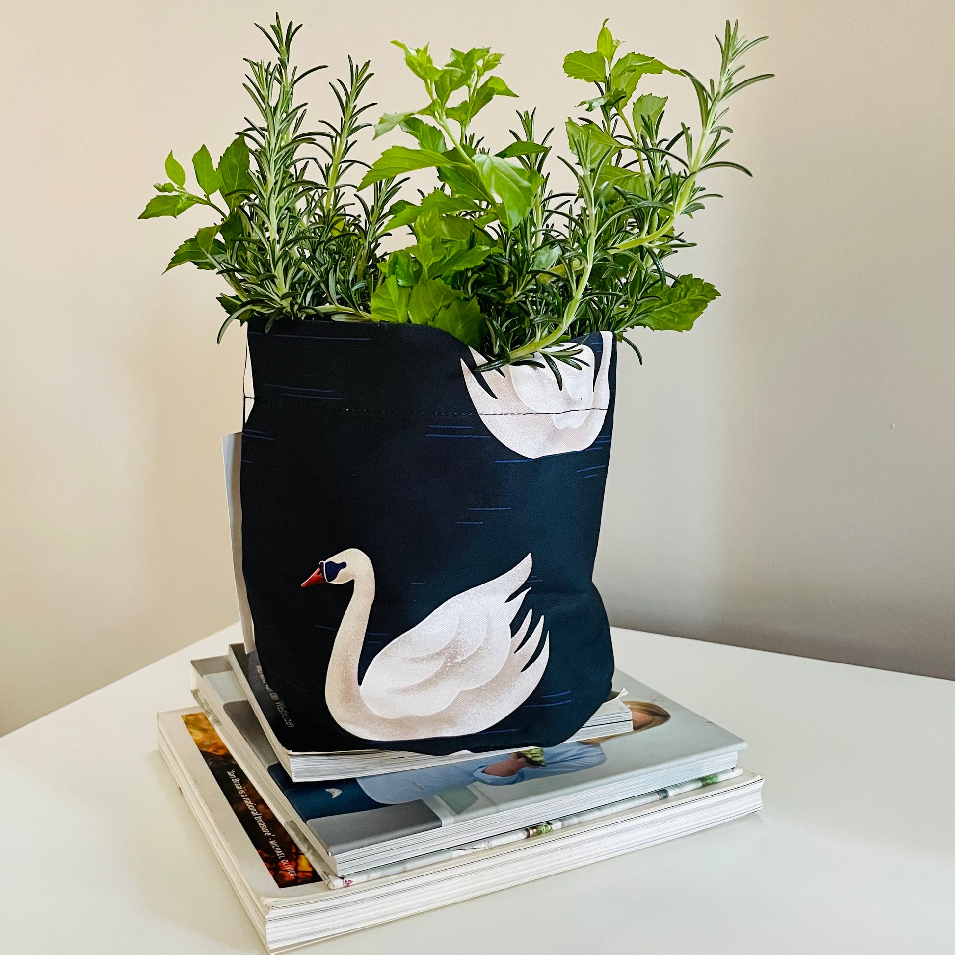 Soft Pot Swan